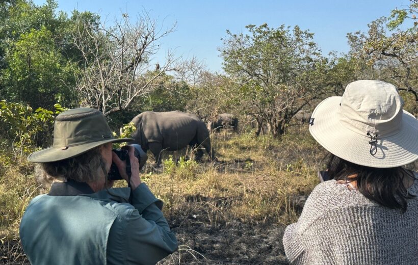 3 Day Murchison Falls NP Wildlife Tours, Rhino & Chimpanzee Trekking Trip